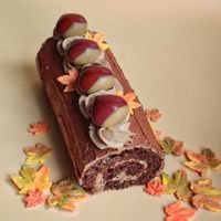 swiss roll chocolade met dobla kastanjes